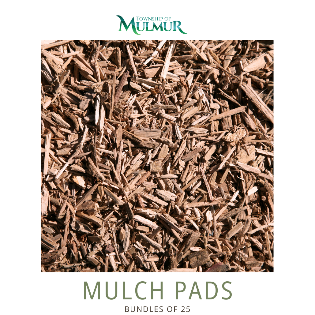 Mulch Pads 2026