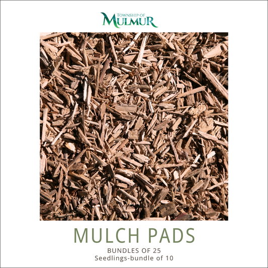 Mulch Pads